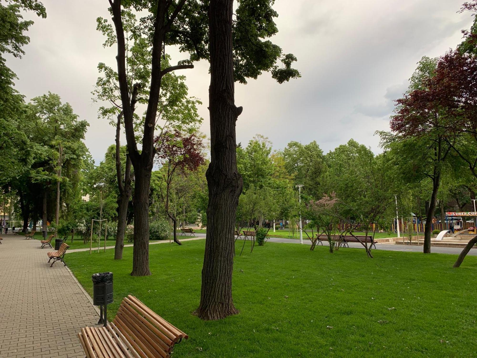 Floreasca Apartment Bach Bükreş Dış mekan fotoğraf